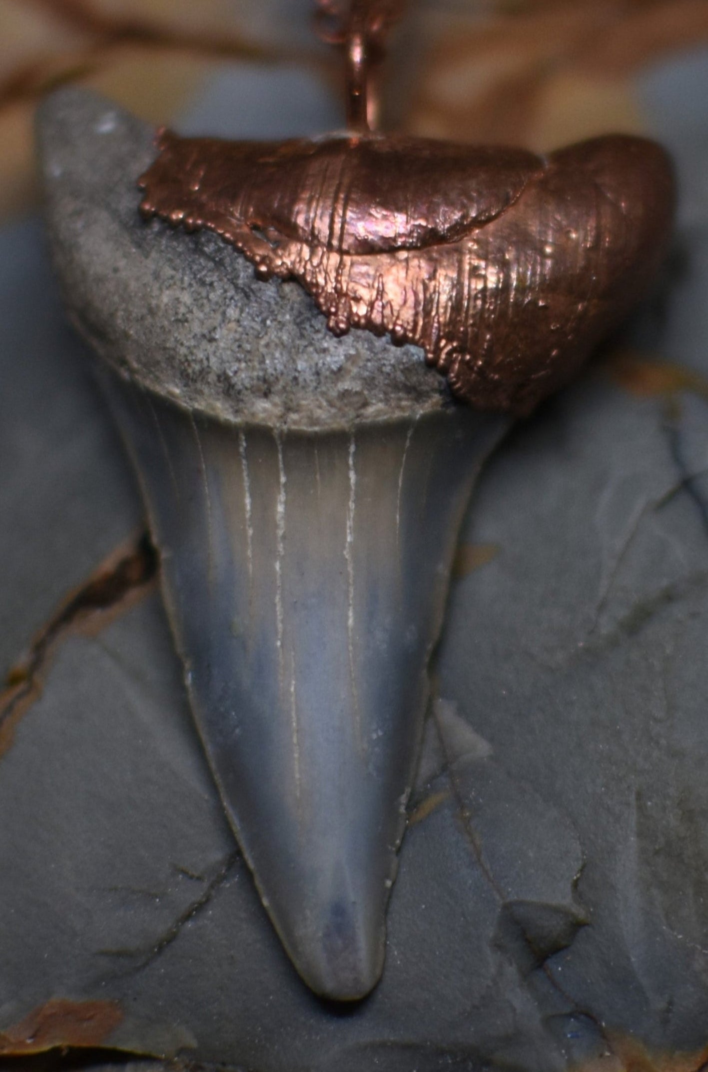 Metallic shark tooth pendant with copper accents on a textured surface