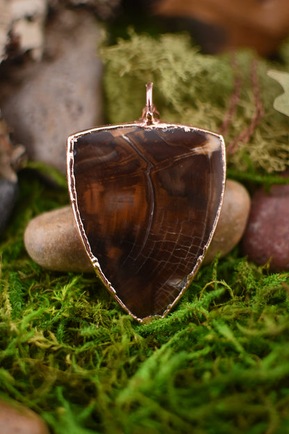 Petrified Wood Necklace