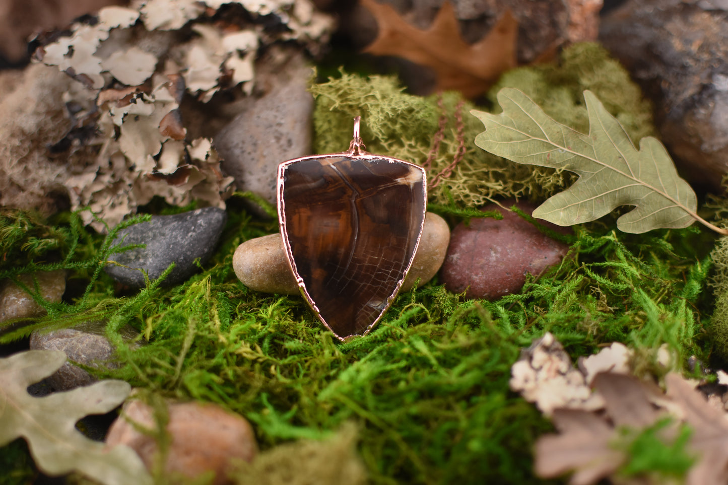 Petrified Wood Necklace