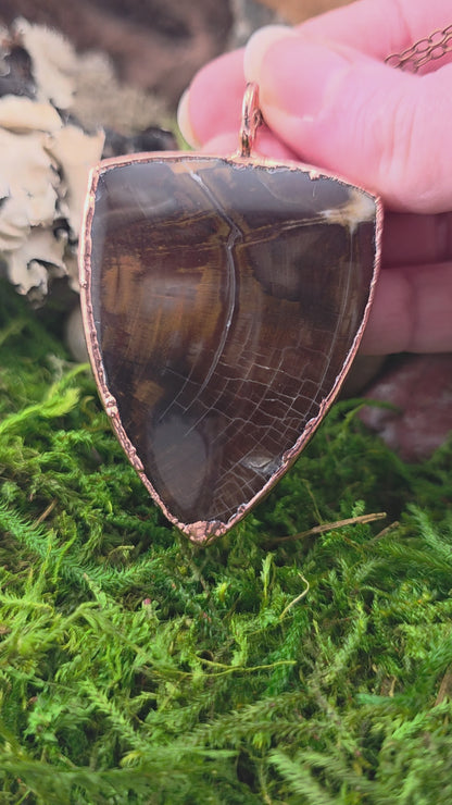 Petrified Wood Necklace